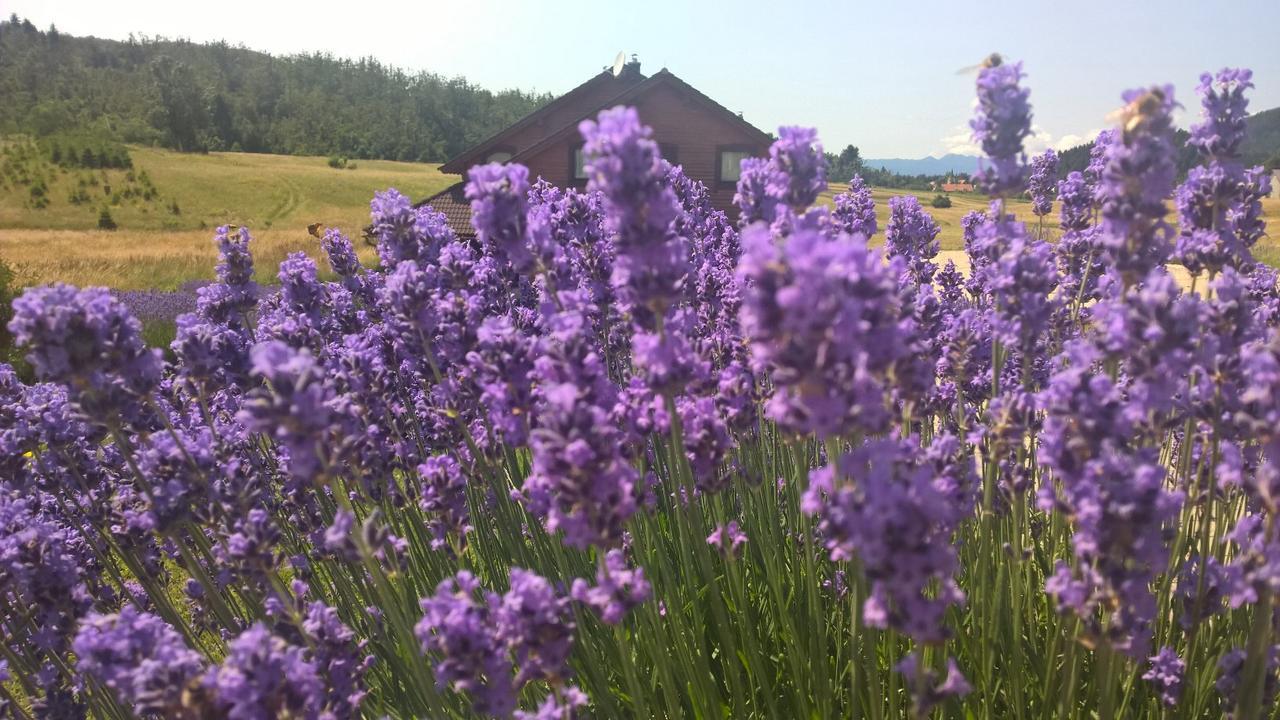 Boutique B&B Japodi Mrkopalj Exteriör bild